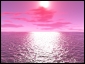 صورة  Shirzad's